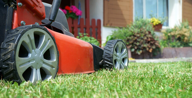 Best Lawn Mower for Bermuda Grass: Get A Perfect Lawn