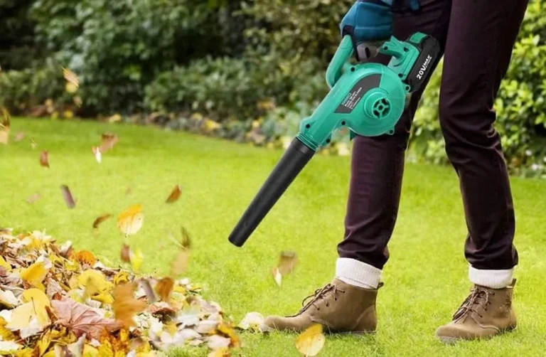 4 Best Cordless Garden Vacuums For Your Yard