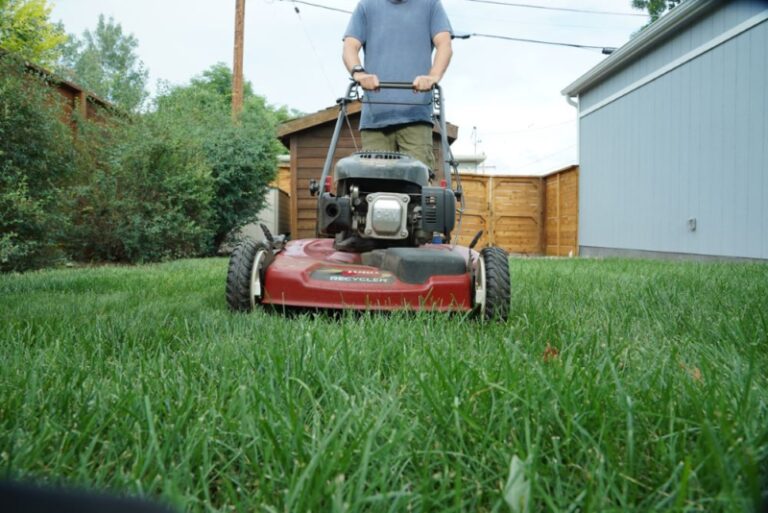 The Best Gas Lawn Mowers Under $400: Top Buys 2023 