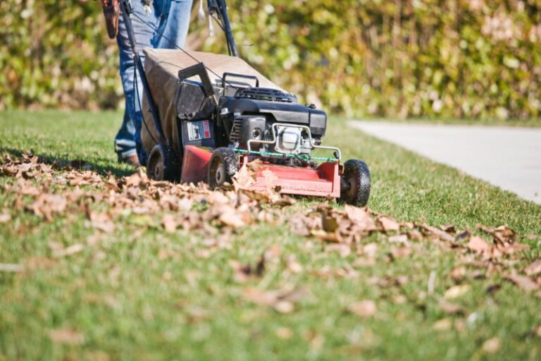 Best Lawn Mower To For Picking Up Leaves In 2023: The Mower Matrix 