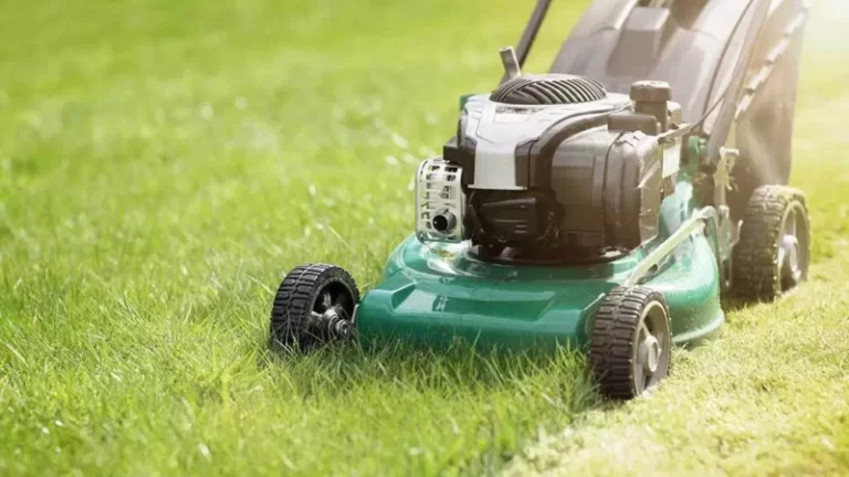 Best Lawn Mowers For Medium Size Lawn In 2023: The Cutting Edge 
