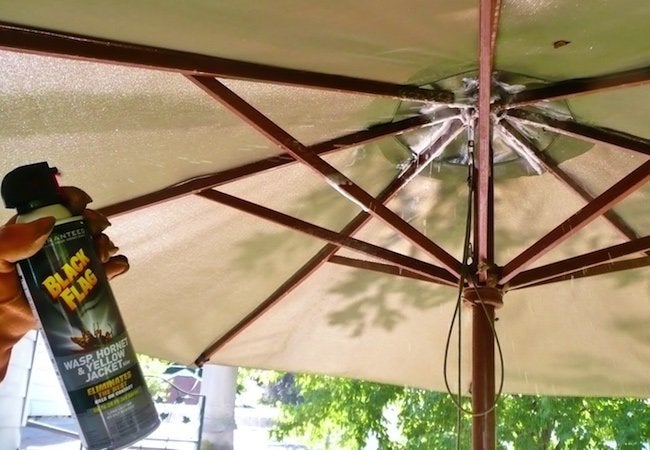 How to Get Rid of Wasps in Patio Umbrella: A Simple Guide